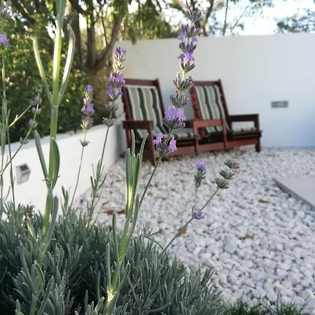 Emma Casa de Férias