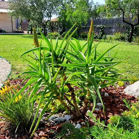 Emma Casa de Férias *