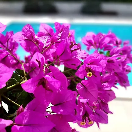 Emma Casa de Férias *