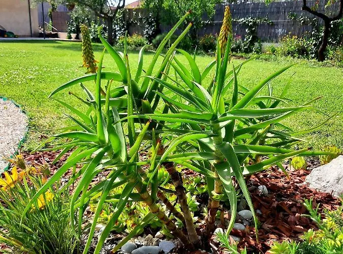 Emma Дом отдыха *