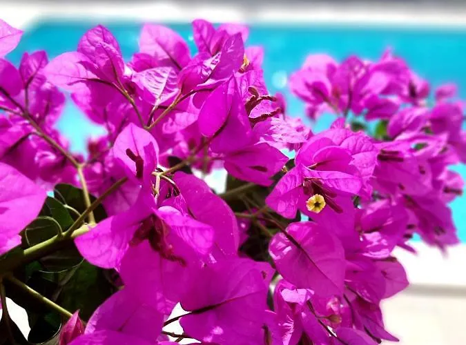 Emma Дом отдыха *