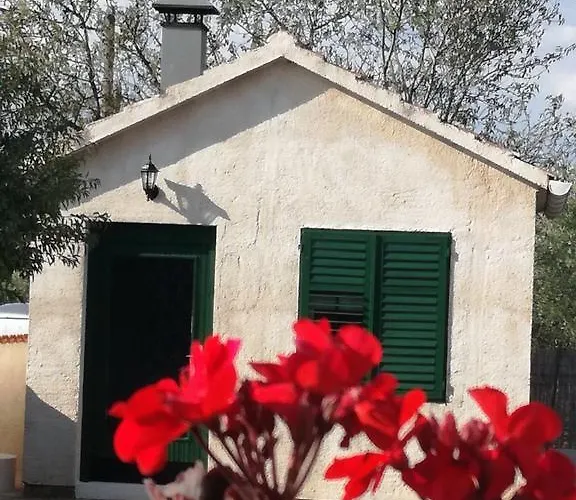 Emma Сasa de vacaciones